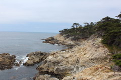 Дорога 17 mile drive, Морские виды по дороге